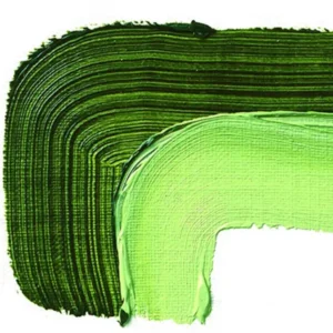 Schmincke Akademie olajfesték, 60ml - 506, Sap Green